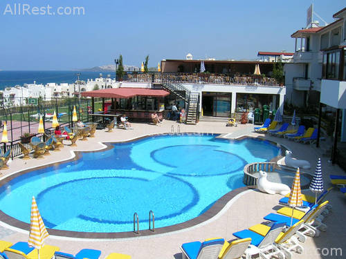 Violin Hotel 6